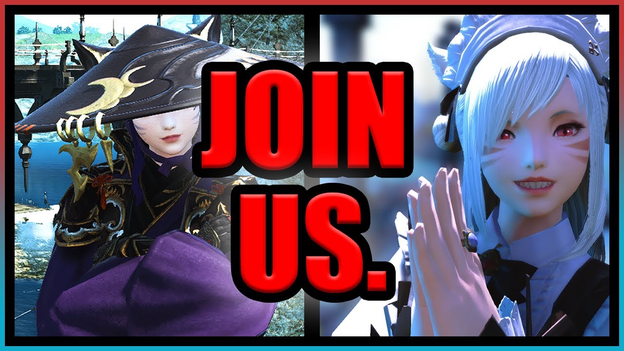 Miqote SUPREMACY?! ✨CAT GIRL REVIEW✨(ft. Cat Girl Expert) | FFXIV