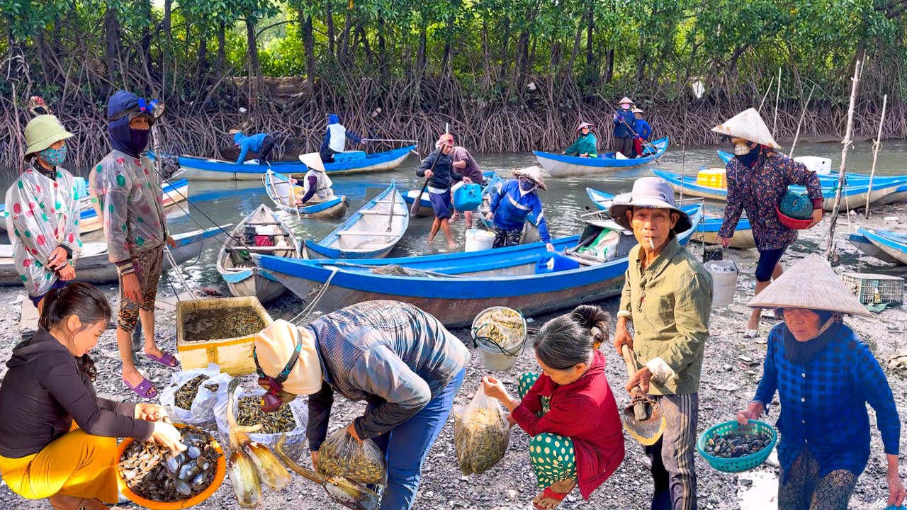 Con Đuôi Heo Làng Hà Bá | Xóm Biển Gần 400 Tuổi Vịnh Nha Phu