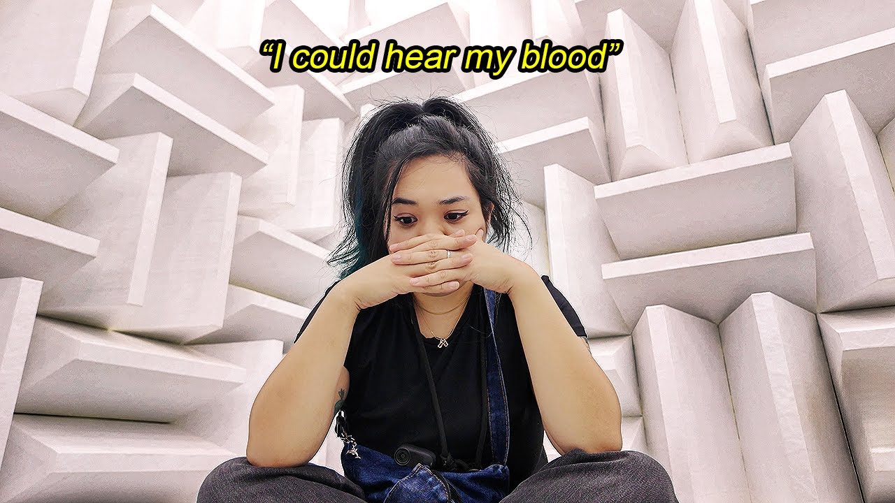 I Survived Japan's Quietest Room