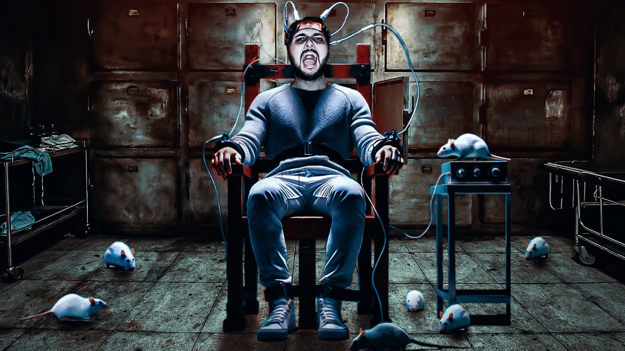 Les 5 Expériences Psychologiques qui ont Viré au Cauchemar...