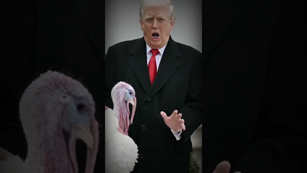 Donald Trump Turns Thanksgiving Turkey Pardon Into a Political Show! 🦃🇺🇸