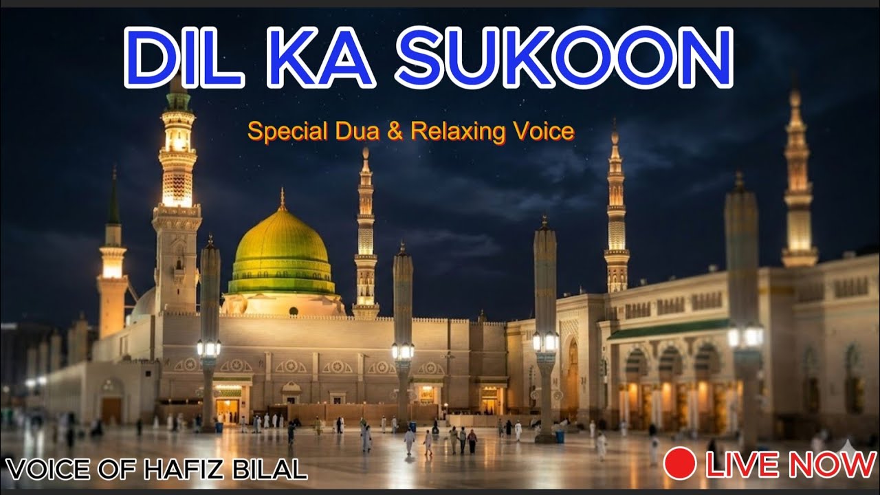 🔴 LIVE: Dil Ko Chu Lene Wali Tilawat | 1 Hour Relaxing Quran Recitation | Voice of Hafiz Bilal