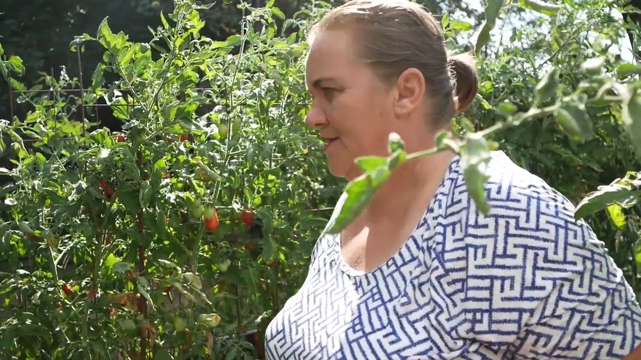 Sarmale cu Varză dulce