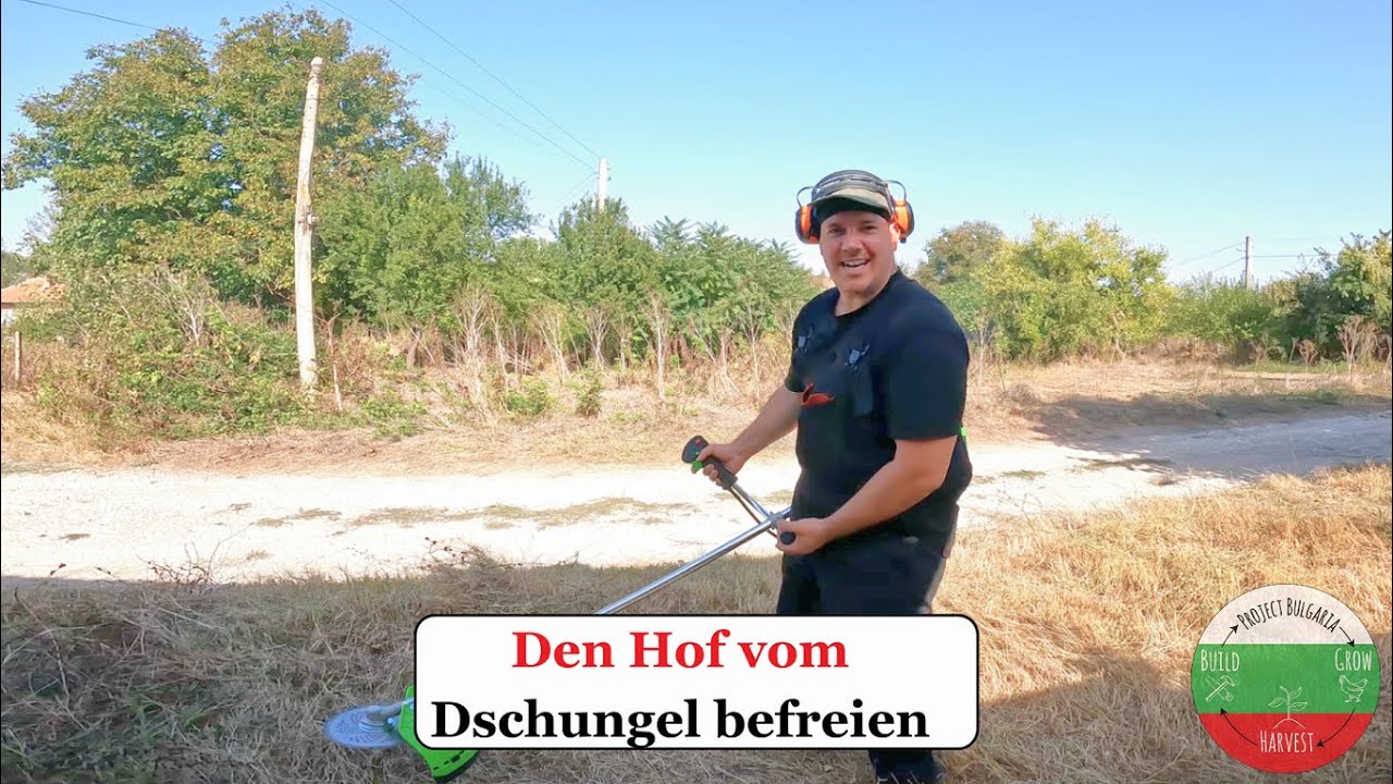 Den Hof vom Dschungel befreien 🤠 - Ep.03 📺