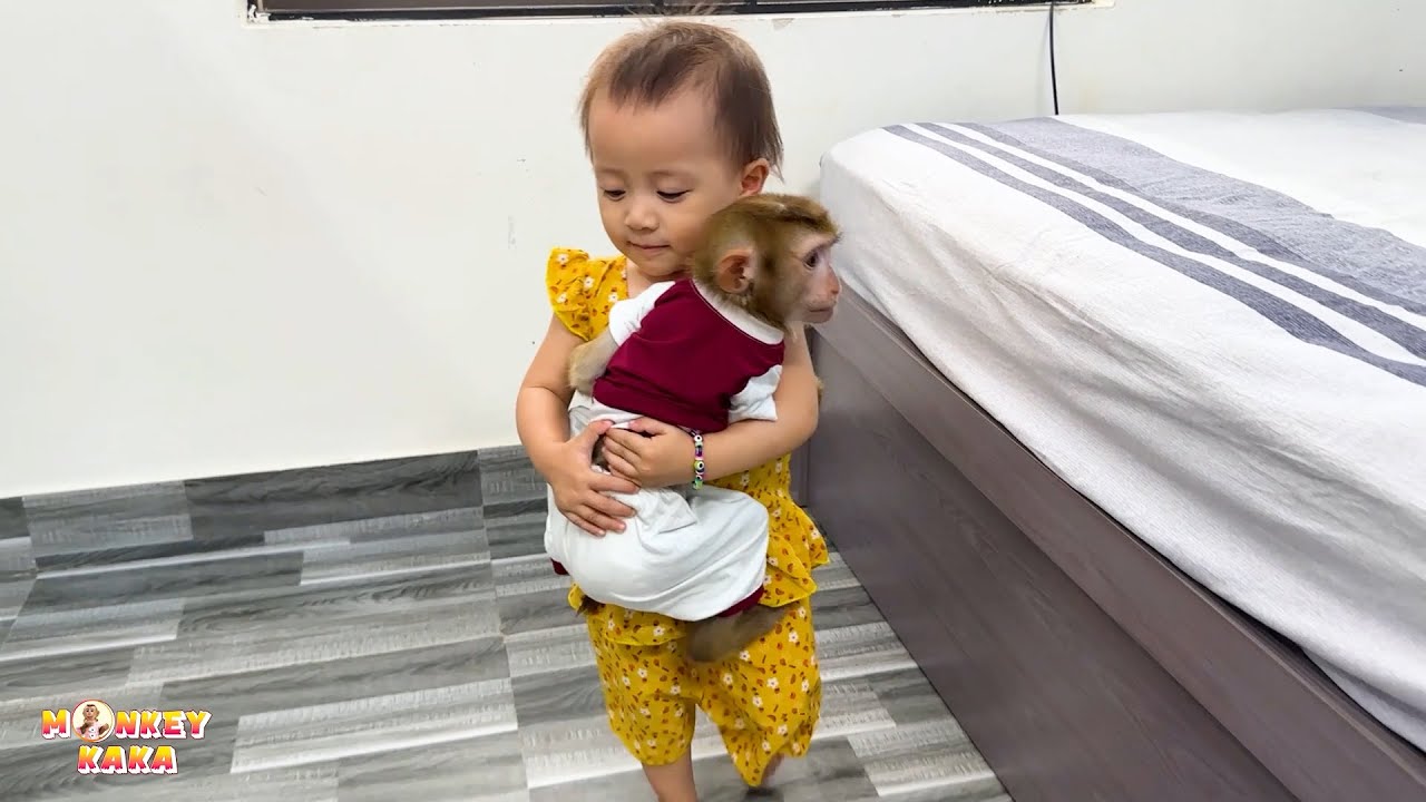 Top 10 super cute moments of Diem and Monkey Kaka