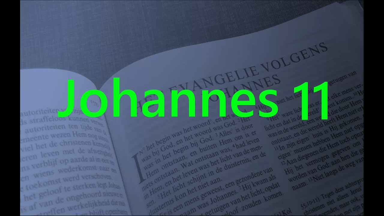 Johannes 11