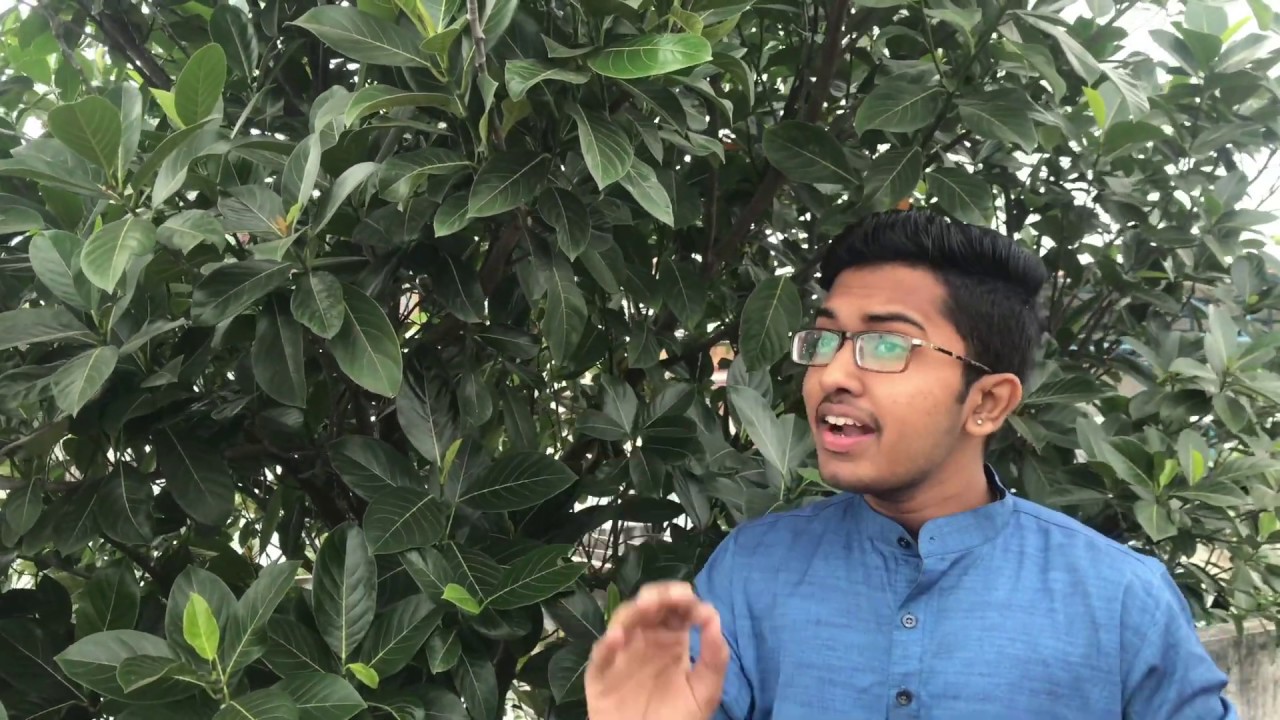Marghazhi Thingal | THIRUPPAVAI SERIES | Sai Vignesh R