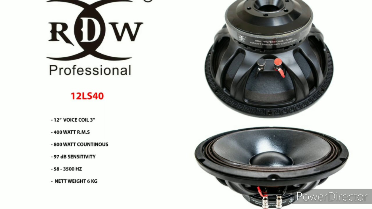 Speaker RDW 12LS40