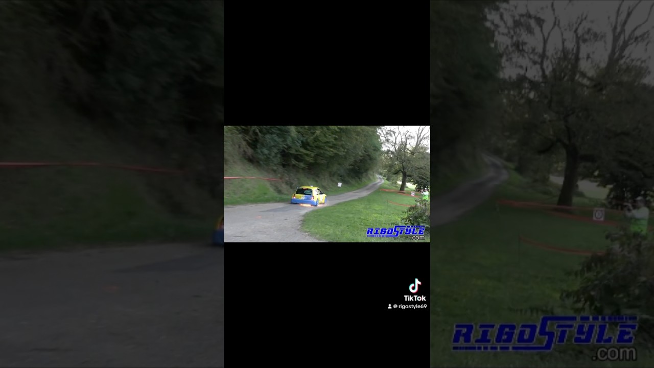 Rallye du Suran 2024 on the limit jeremy Ancian #rallye #rallying #rallyesports #wrc #rallycar #clio
