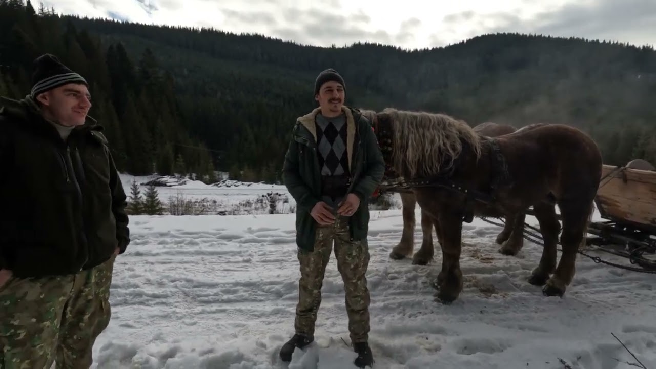 Băieți Cu Caii din Ciocănești -Plimbare Cu Sania prin Frumoasa Bucovina 
