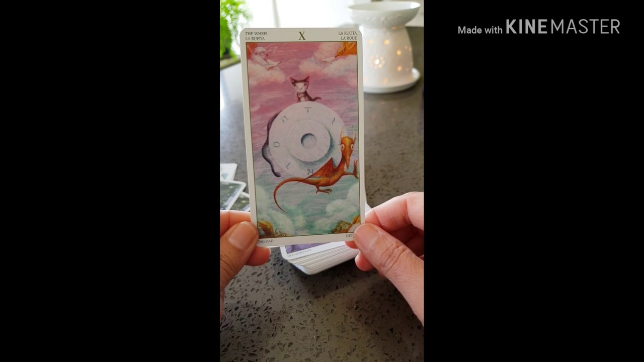 🖌️Thursday Tea Time Tarot✍️- 3