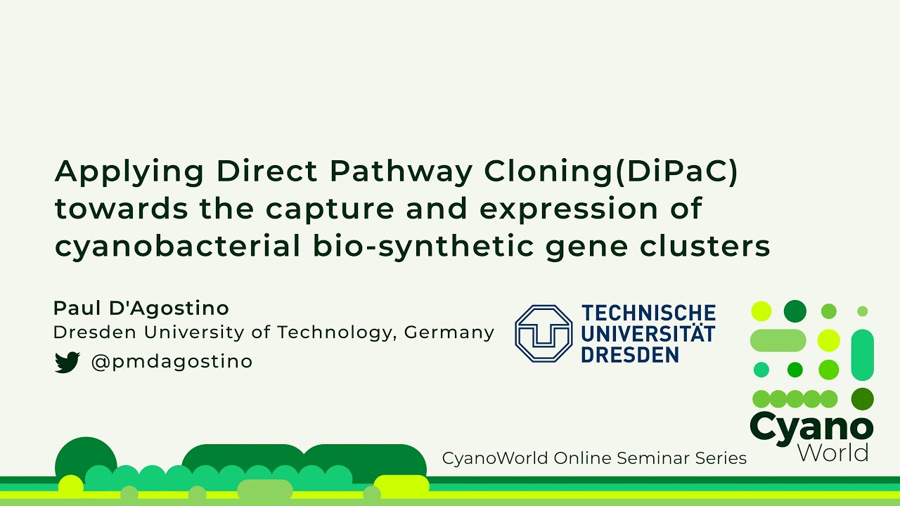Paul D'Agostino | Applying DiPaC towards the capture and expression of biosynthetic gene clusters