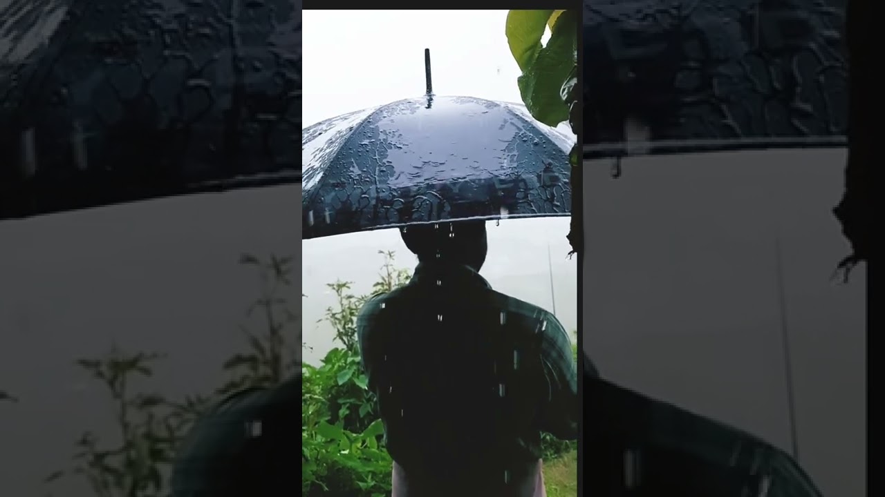 Raindrops mostly sings the sad stories .&hearts;️. #nature #short #shorts #rain #love #lonely #song #sad