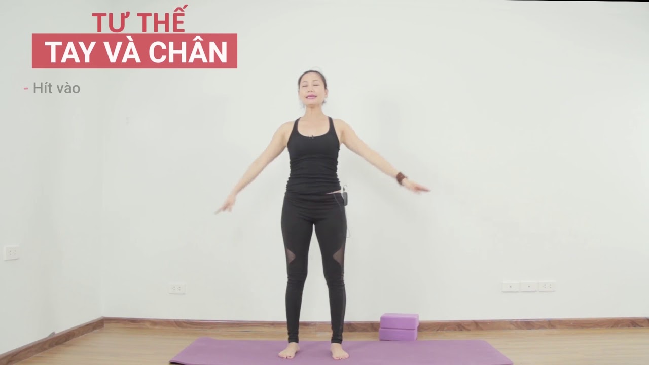 12  tư thế tay chân và cái cây