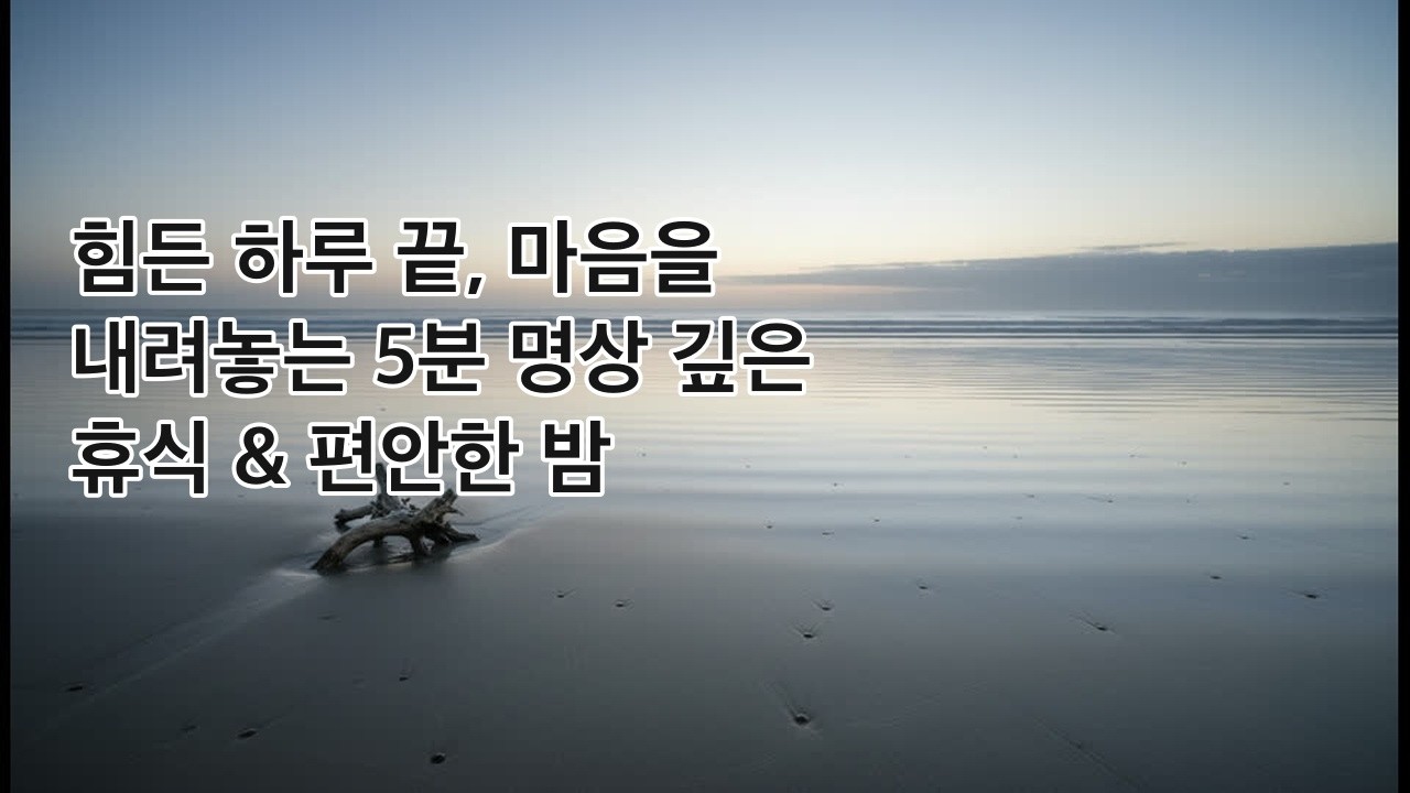 힘든 하루의 끝, 마음을 내려놓는 5분 명상 🌙 깊은 휴식 & 편안한 밤