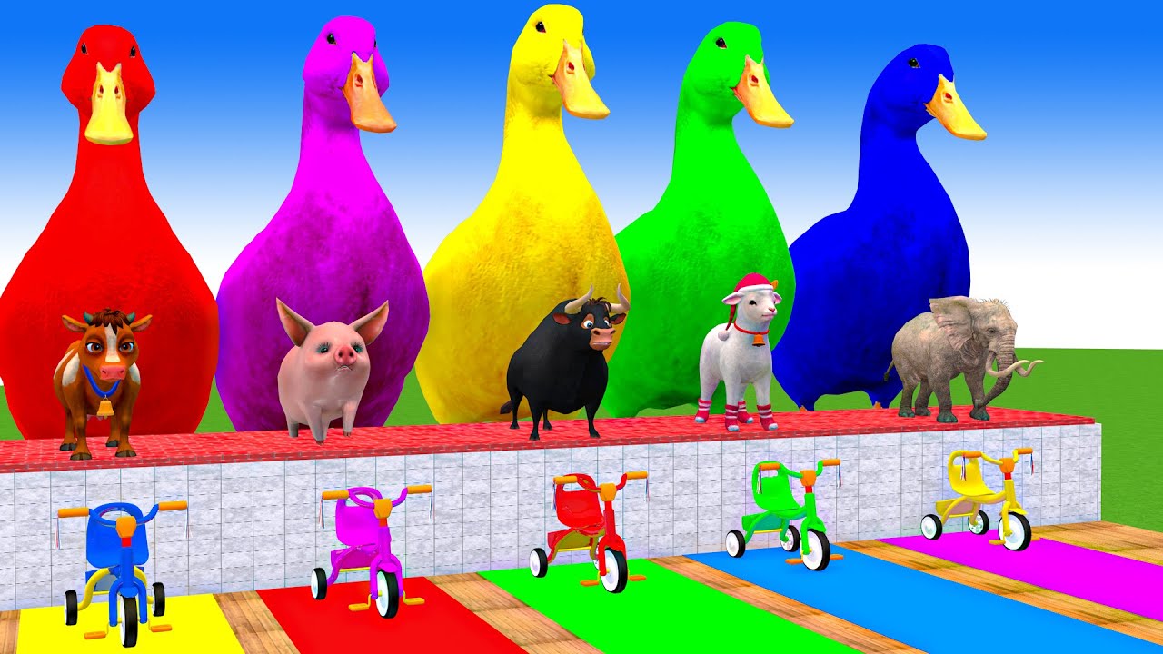 Long Slide Game With Cow Elephant Gorilla Hippopotamus Tiger 3d Animal Game Funny 3d Animals