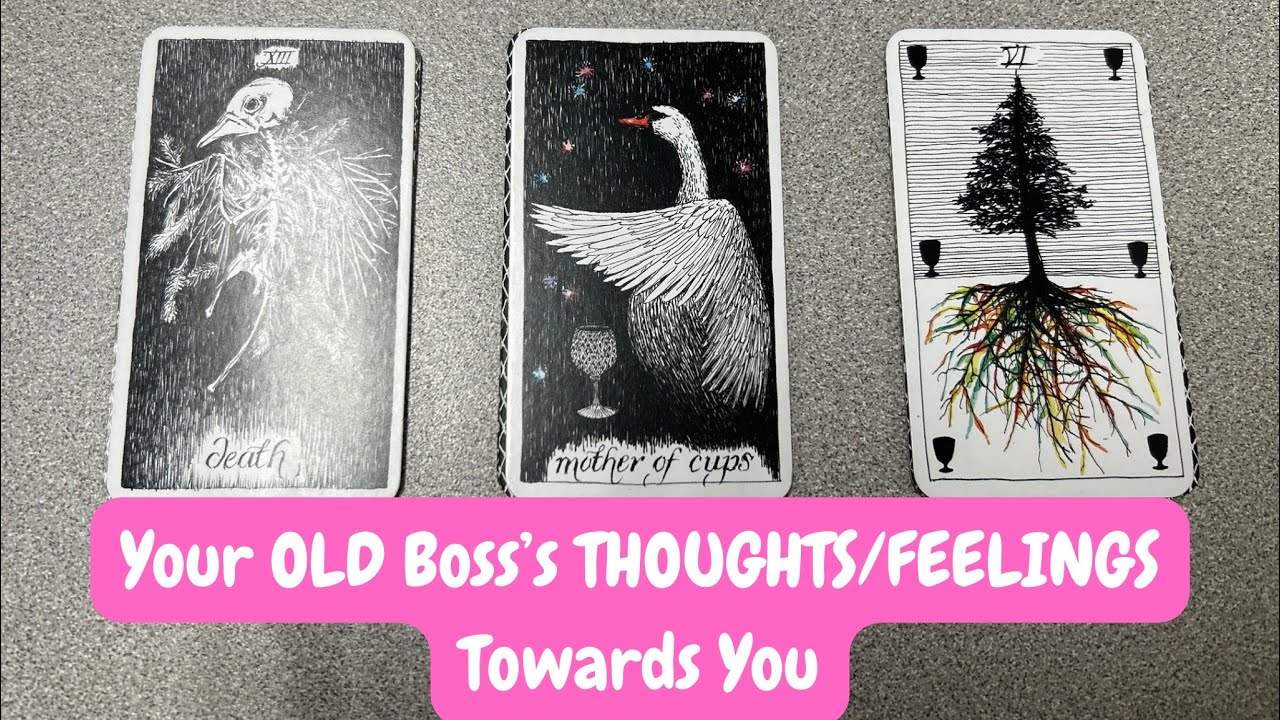 Что думает/чувствует ваш старый начальник по отношению к вам 😴 Выберите карту. Гадание на картах ...