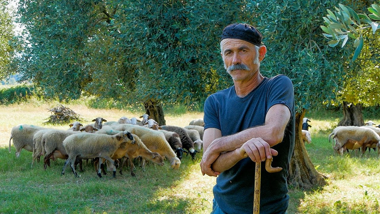 &Omicron; &Nu;ί&kappa;&omicron;&sigmaf; &kappa;&alpha;&iota; &tau;&omicron; &kappa;&omicron;&pi;ά&delta;&iota; &tau;&omicron;&upsilon; | &Omicron; &mu;&epsilon;&rho;&alpha;&kappa;&lambda;ή&sigmaf; &beta;&omicron;&sigma;&kappa;ό&sigmaf; &tau;&omicron;&upsilon; &Beta;ά&lambda;&tau;&omicron;&upsilon;