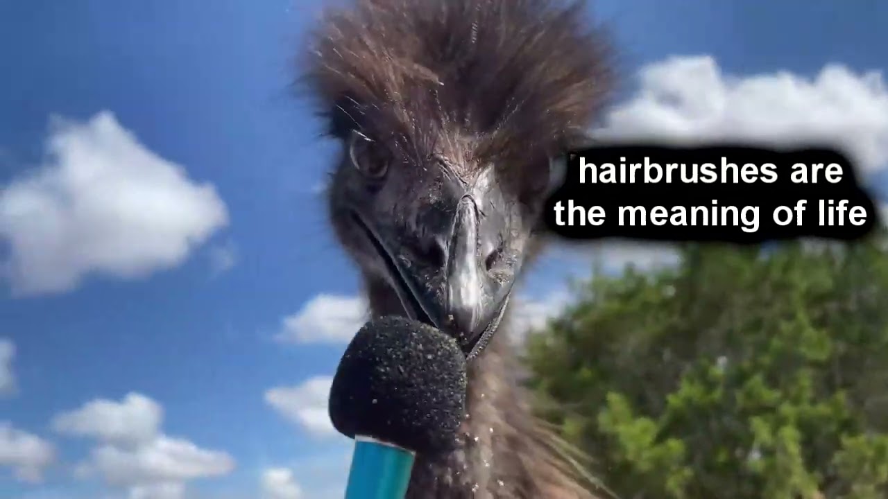 🎤🗨🐭Interviewing animals WITH VOICES with a tiny mic