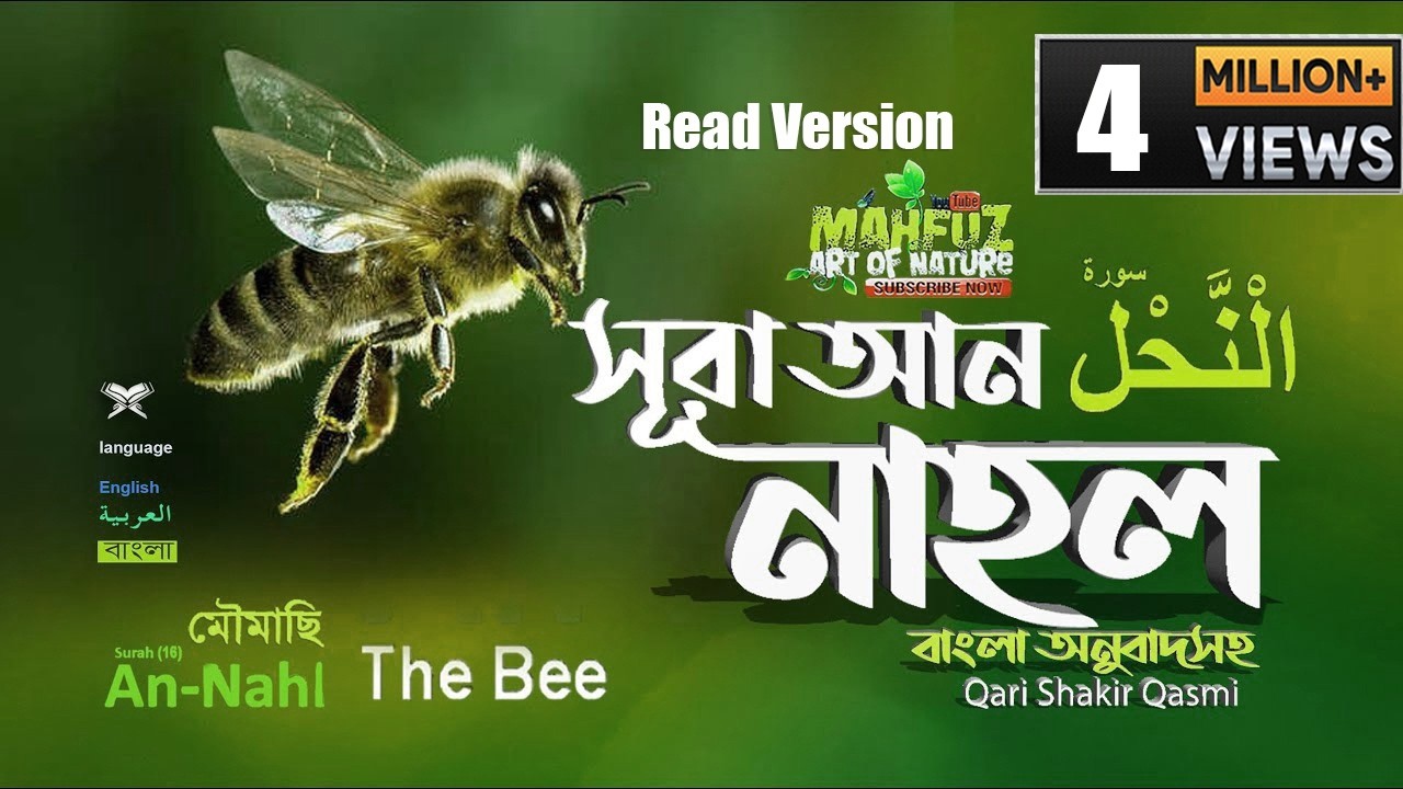 16) সূরা নাহল - Surah An-Nahl (bee) | سورة النحل অনুবাদ | Qari Shakir Qasmi | mahfuz art of nature