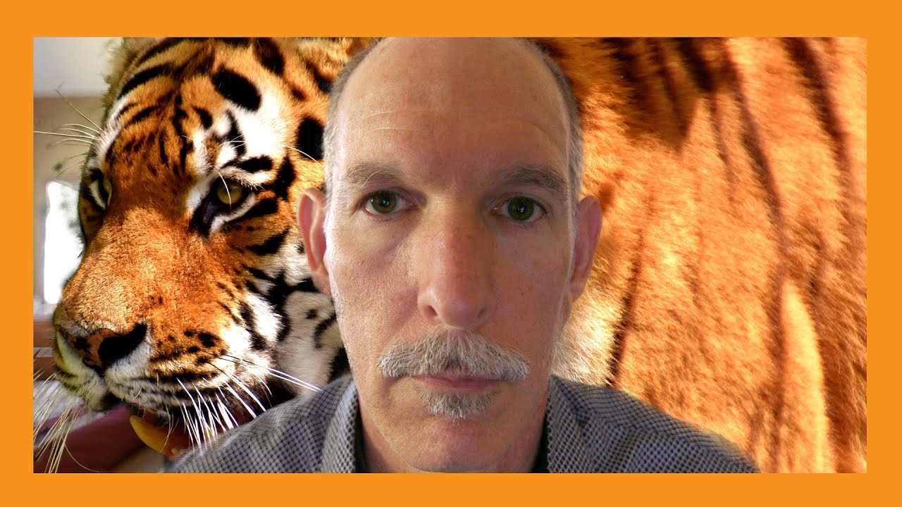 Weird Times | Auburn Medical Group