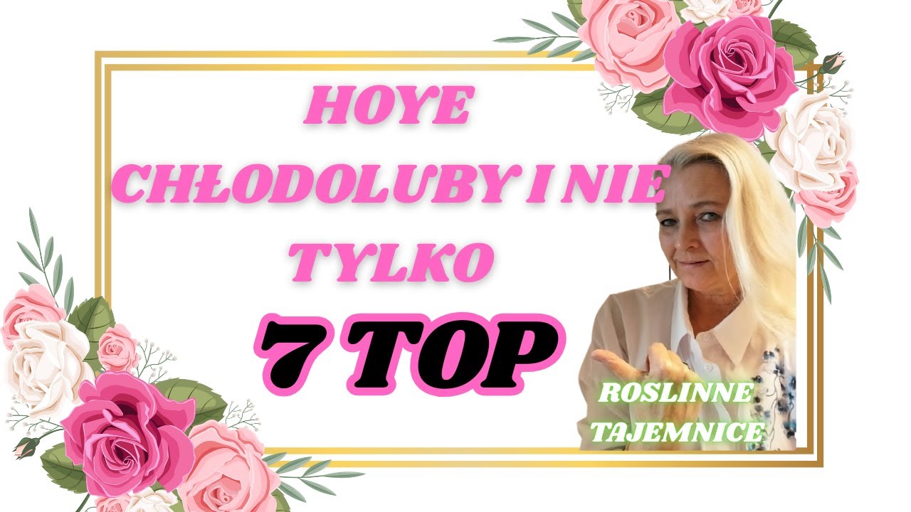 MOJE HOYE TE CHŁODOLUBNE I NIE TYLKO