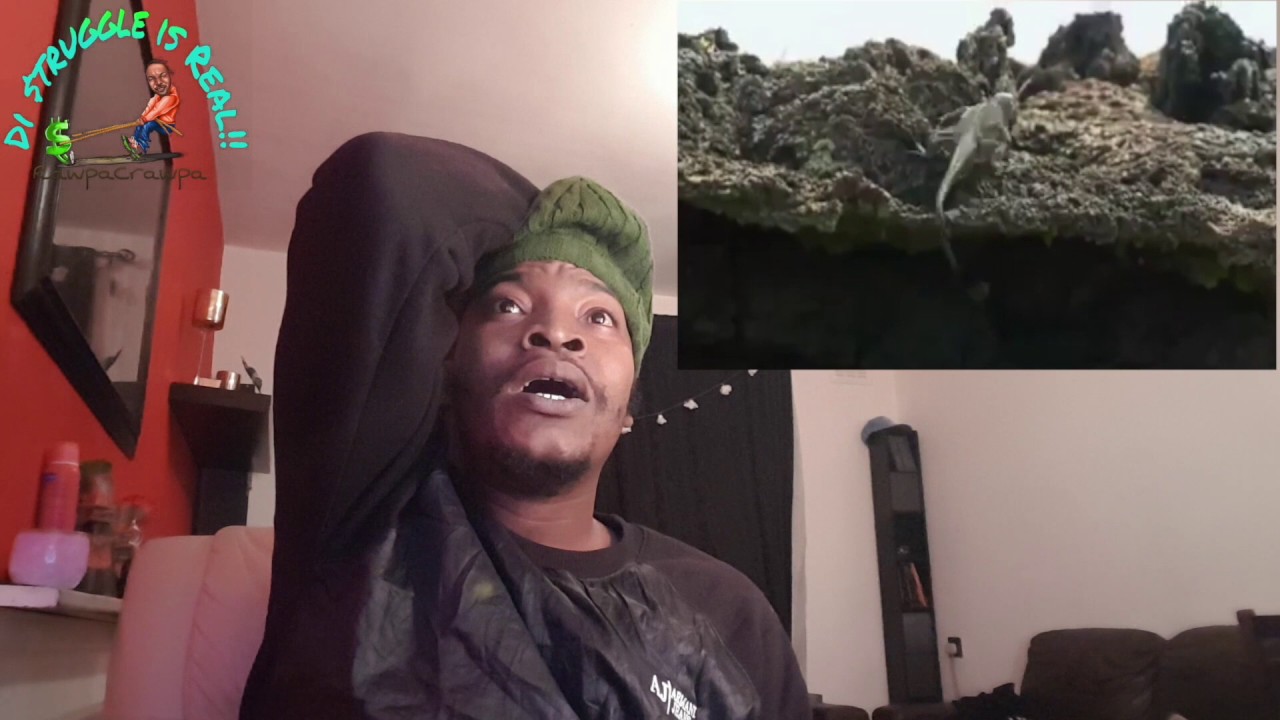 I almost had a heart attack  ( Dec 2016 ) Rawpa Crawpa Vlog