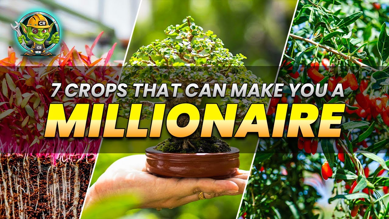 7 High Profit Crops That Can Make You a Millionaire