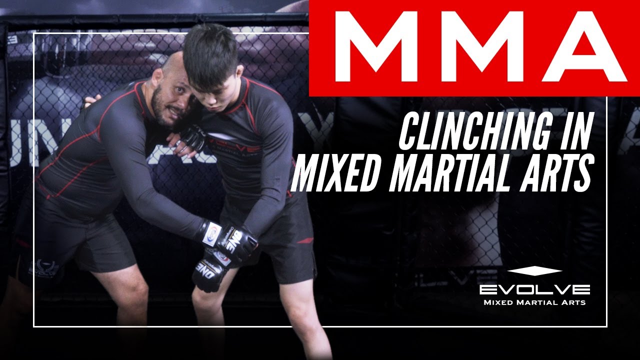 MMA | An Introduction To Clinching In MMA