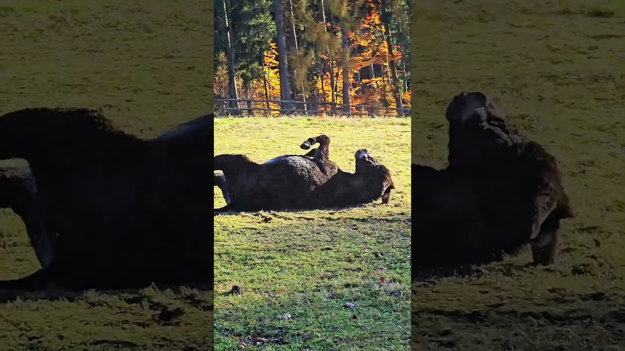 Nešukej, nešukej, ještě nejsem připravená.🥰🫏❤️