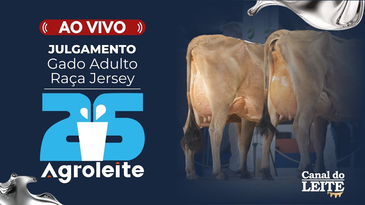 Agroleite 2025 - Julgamento do Gado Adulto da Ra&ccedil;a Jersey