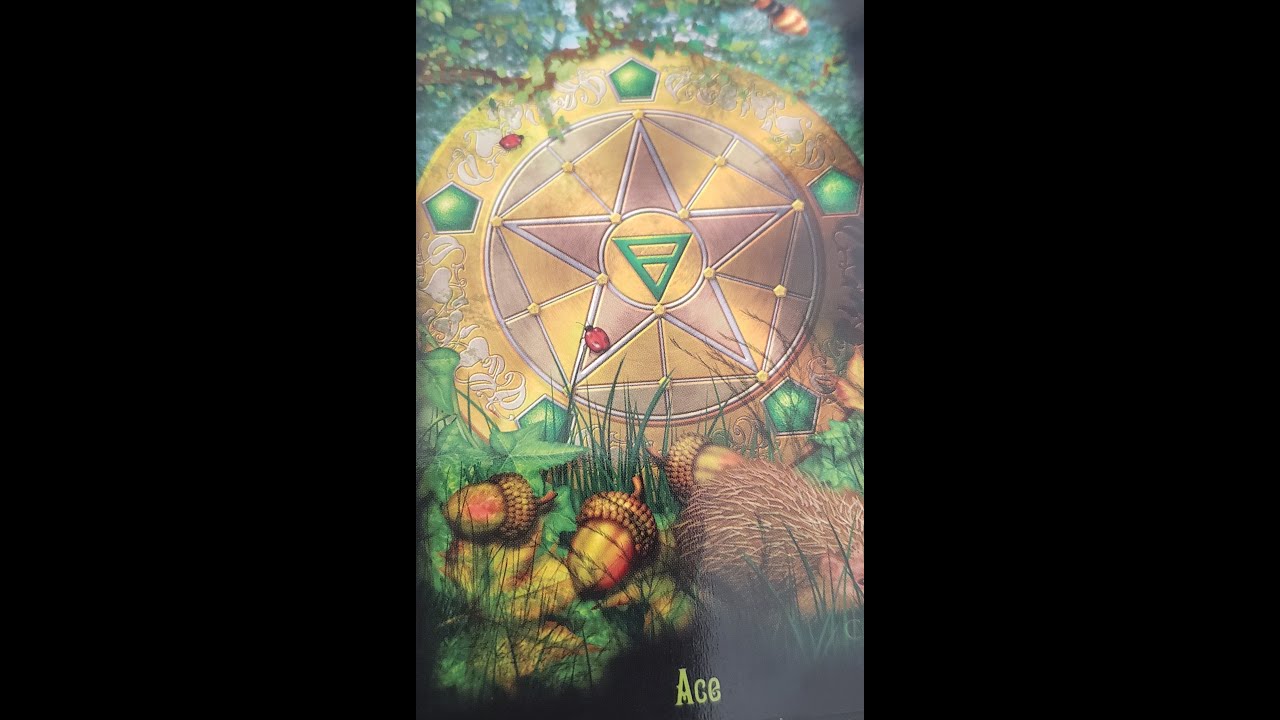 PISCES: "THEY WANT TO SET THE RECORD STRAIGHT" AUG - DEC. 2019