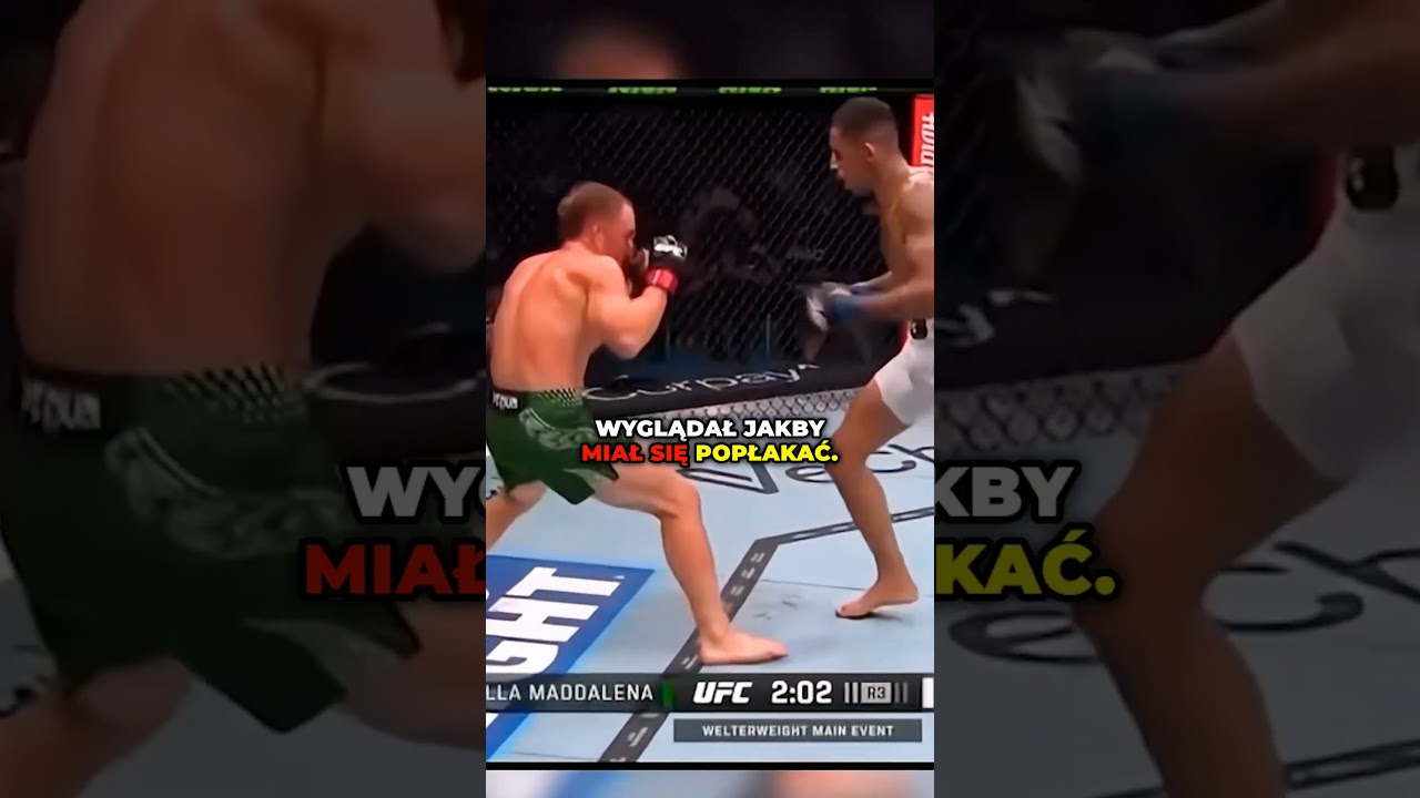 CARLOS PRATES NISZCZY BYŁEGO MISTRZA! #dc #viral #mma #mmapolska #ufc #ufcpolska #carlosprates #jdm