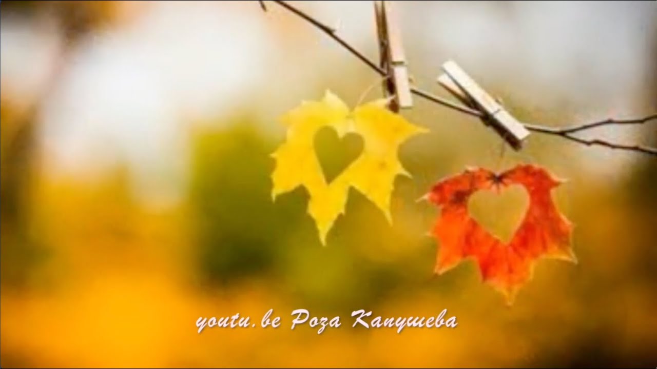 💖Къасбот Тамбиев 