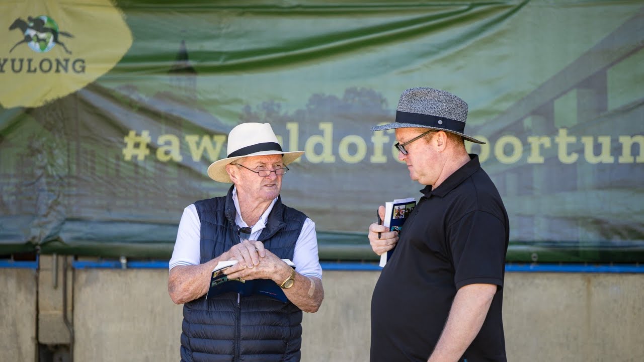 Ben Gunn - Lot 368: 2025 Inglis Premier Yearling Sale Snippet
