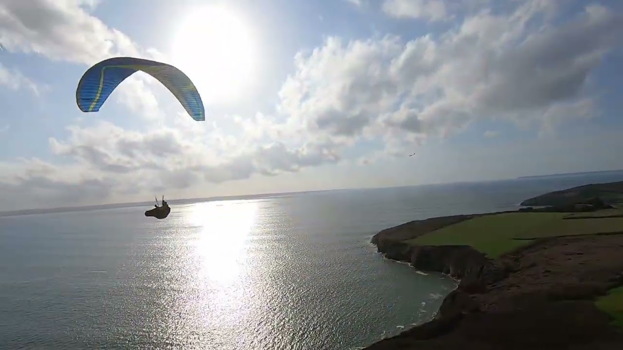 Arbrissage à Kervijen en Tango DAVINCI