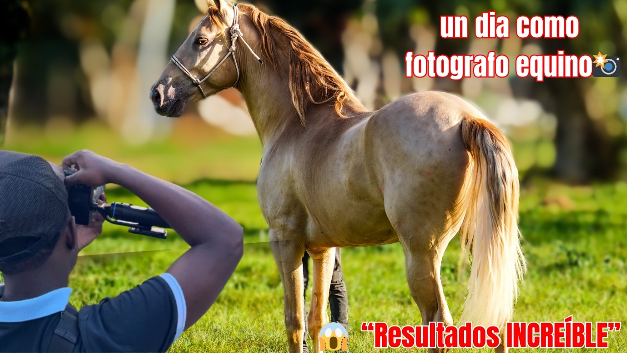 “Así es mi vida creando contenido de caballos 🐎📸”