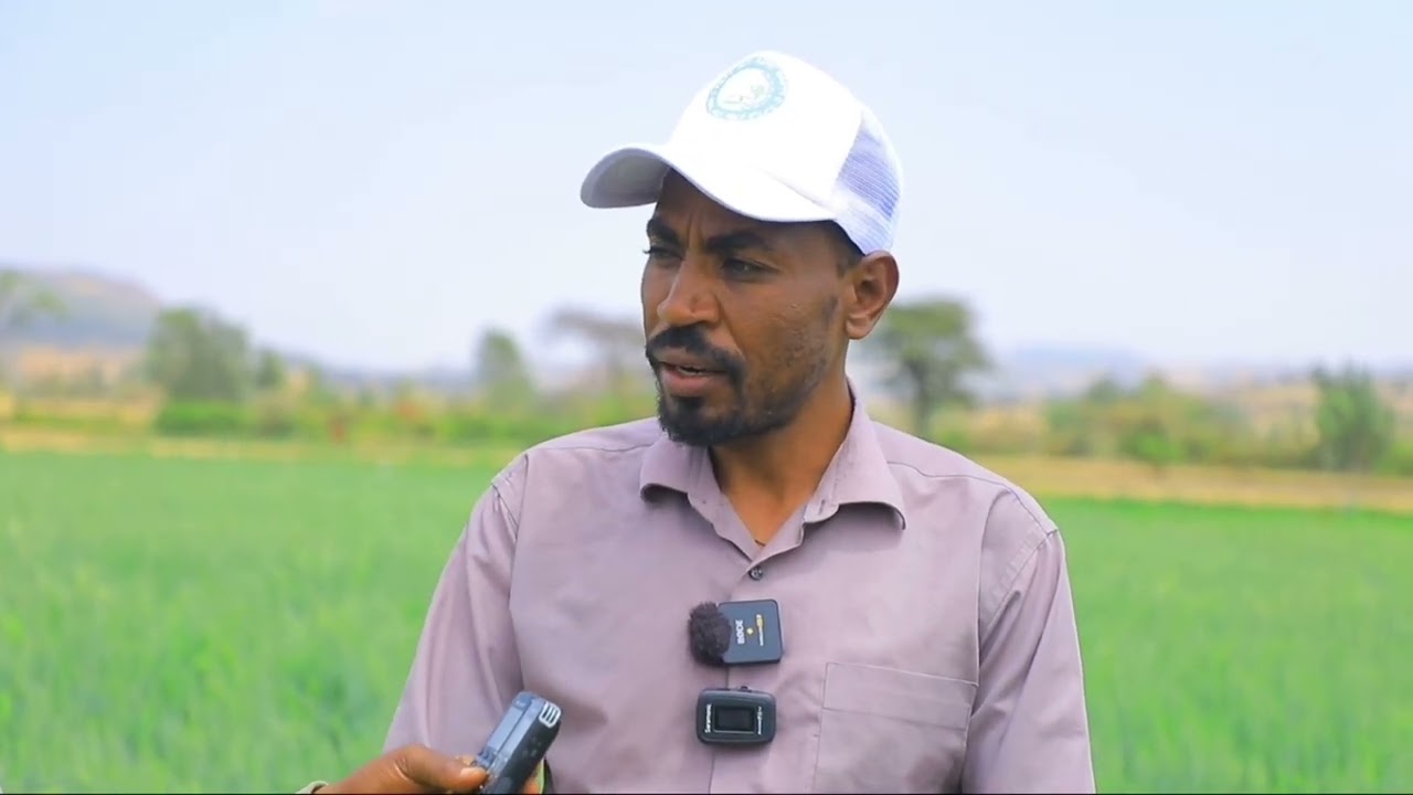 በአቶ ሙስጠፋ ሀሰን የተመራው ልዑካን ቡድን በሶዶ ወረዳ የልሙ የልማት ስራዎችን ጎበኙ