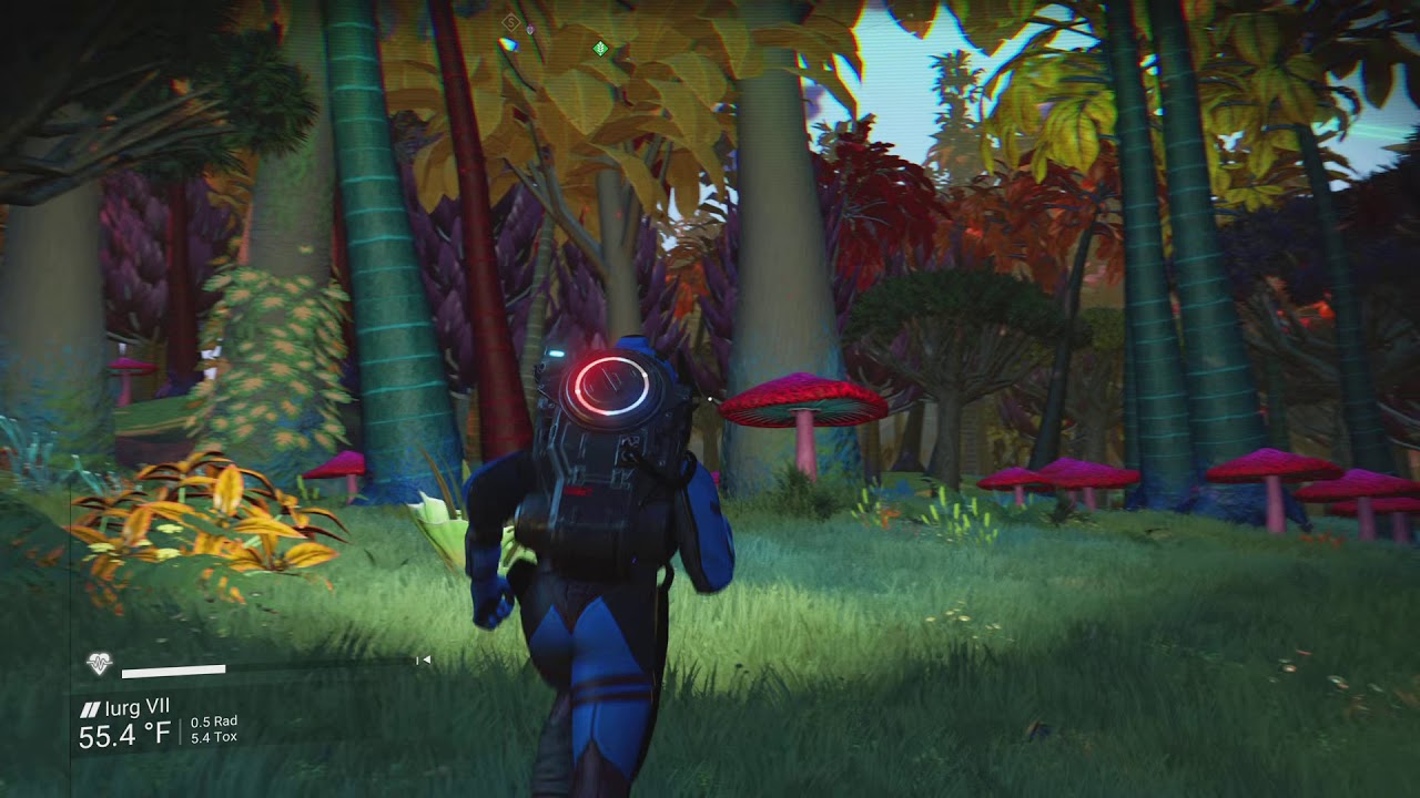 A walk through the Galactic Hub Rain Forest reserve