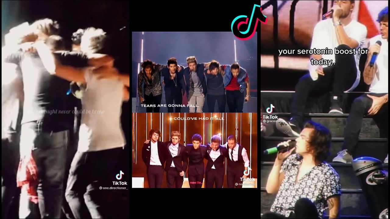 One Direction tiktoks for the dinosaurs mate