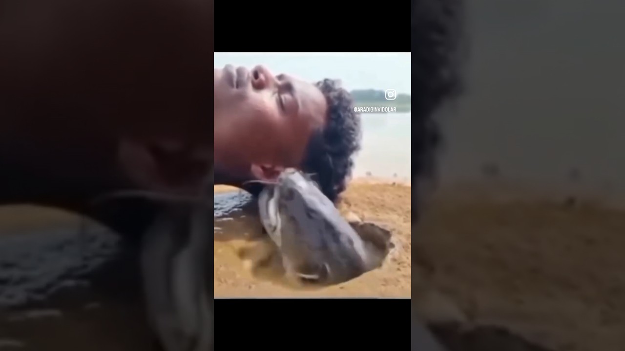 nae nae fish #funny