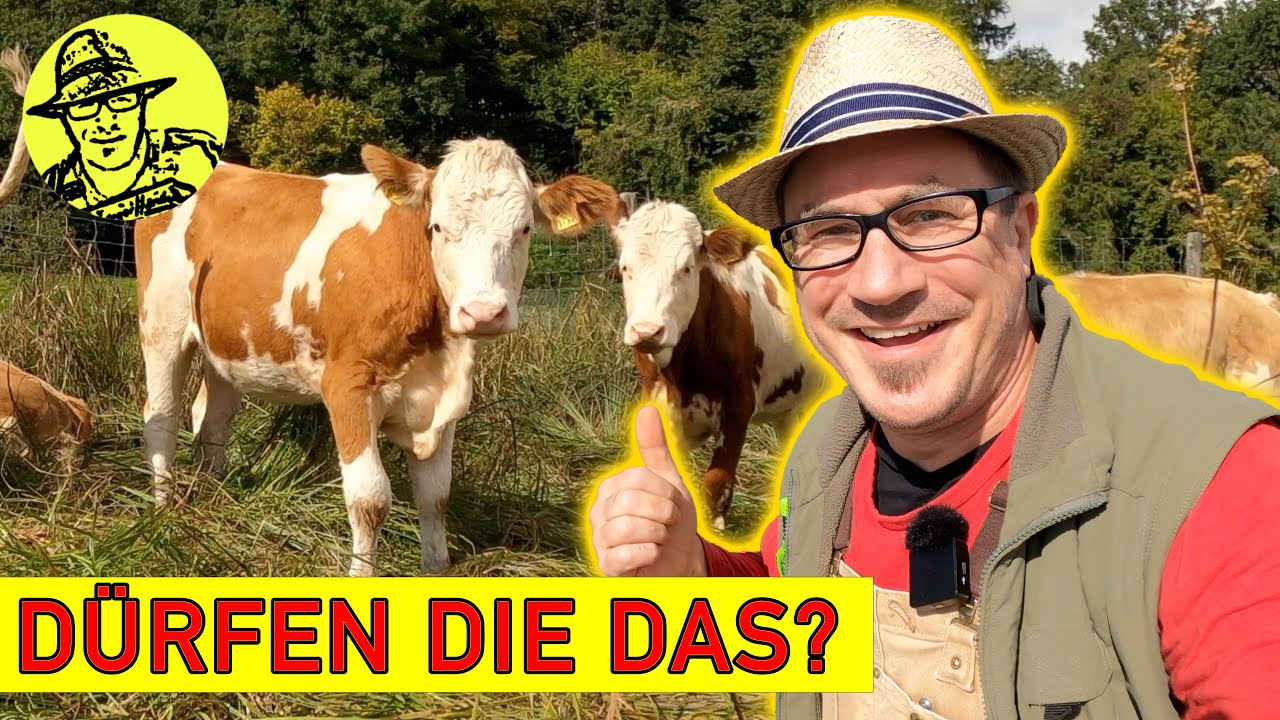 So angeln Profis! 😂 Abenteuer Selbstversorgung.