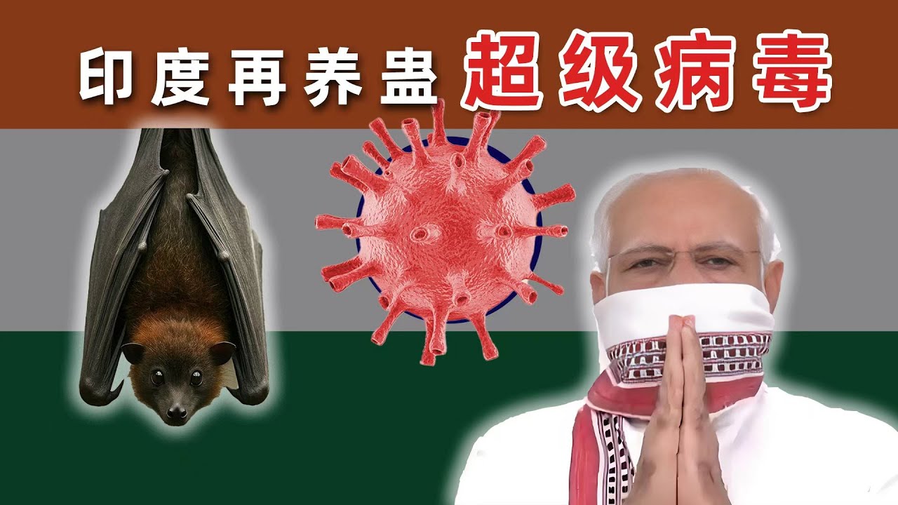 危！印度养蛊出致死率75%病毒，喝牛尿还管用吗？【乌鸦校尉】