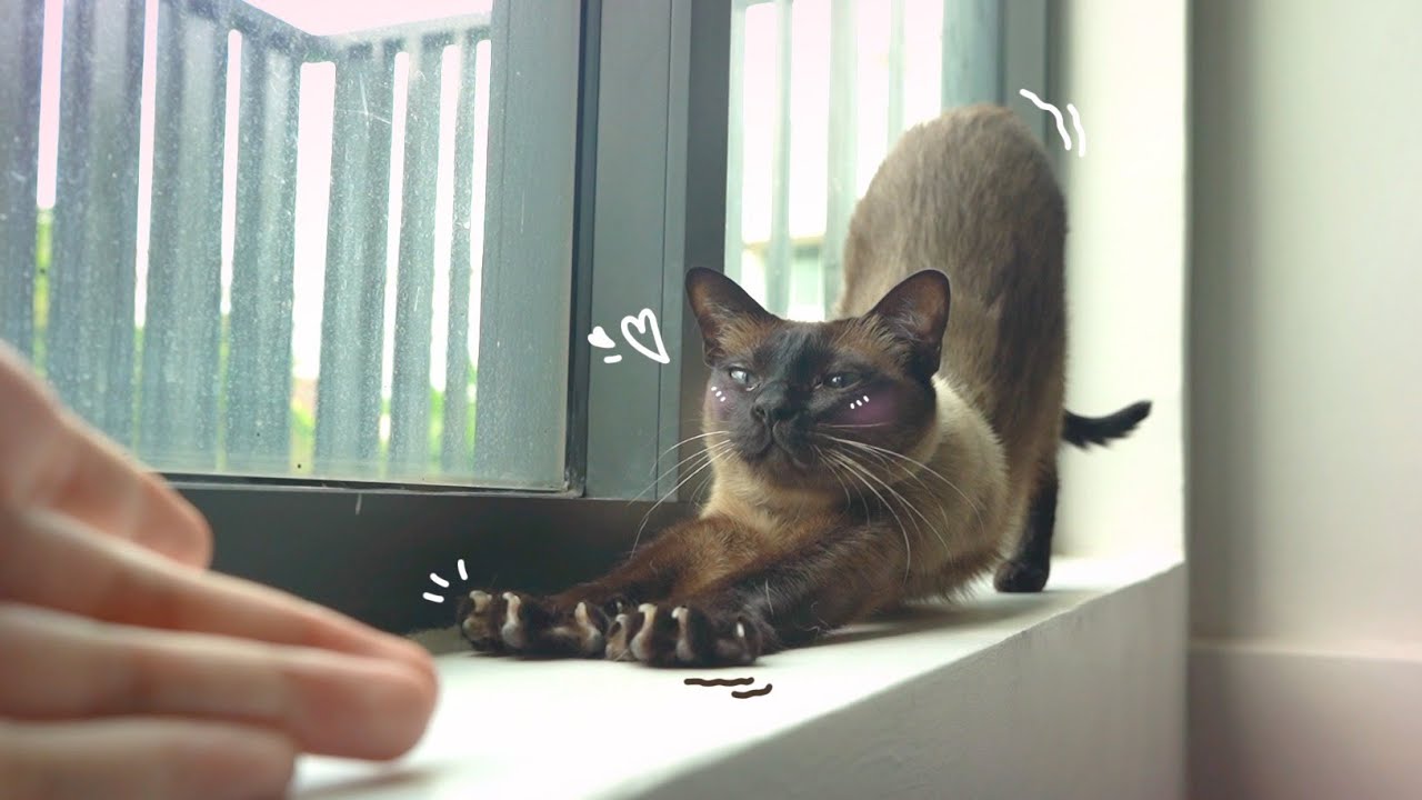 One Day with Maemaew EP.9