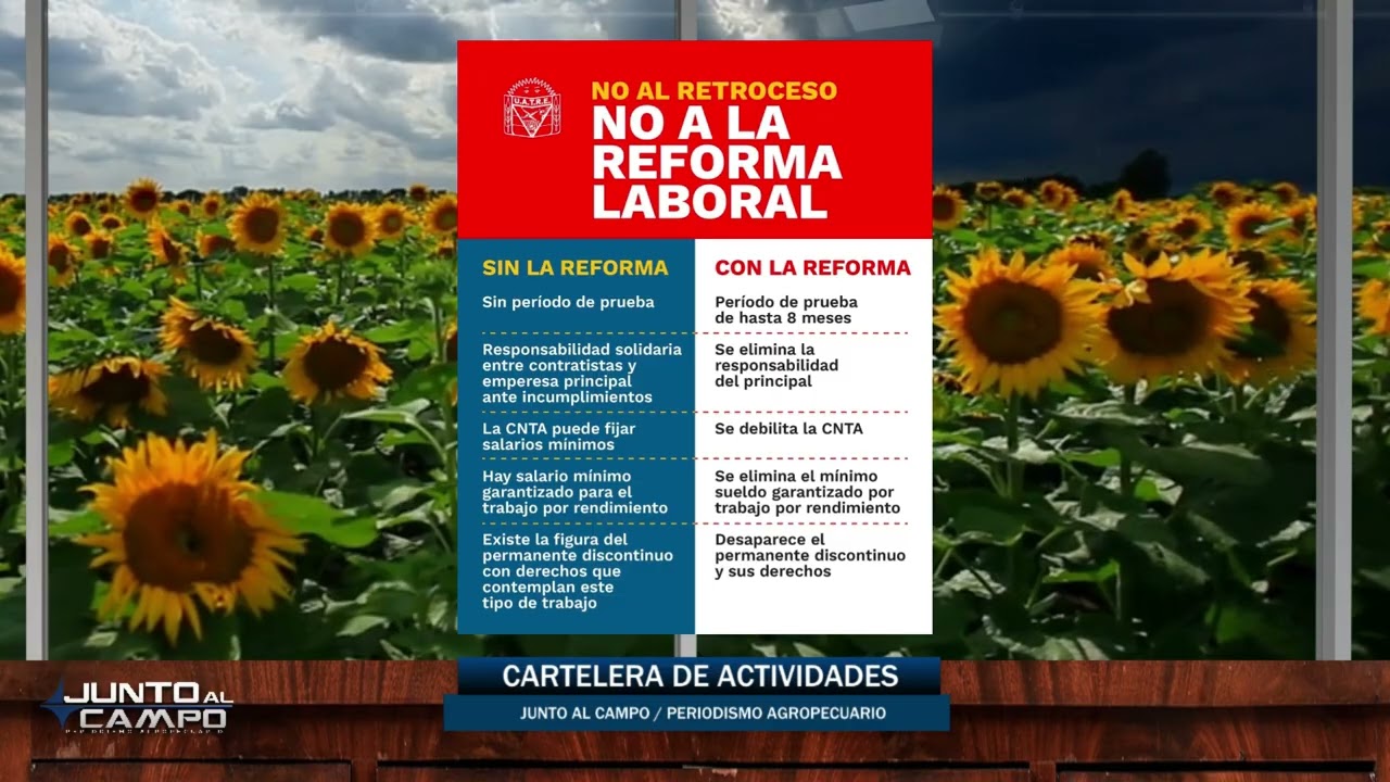 JUNTO AL CAMPO / Programa 10 3 26