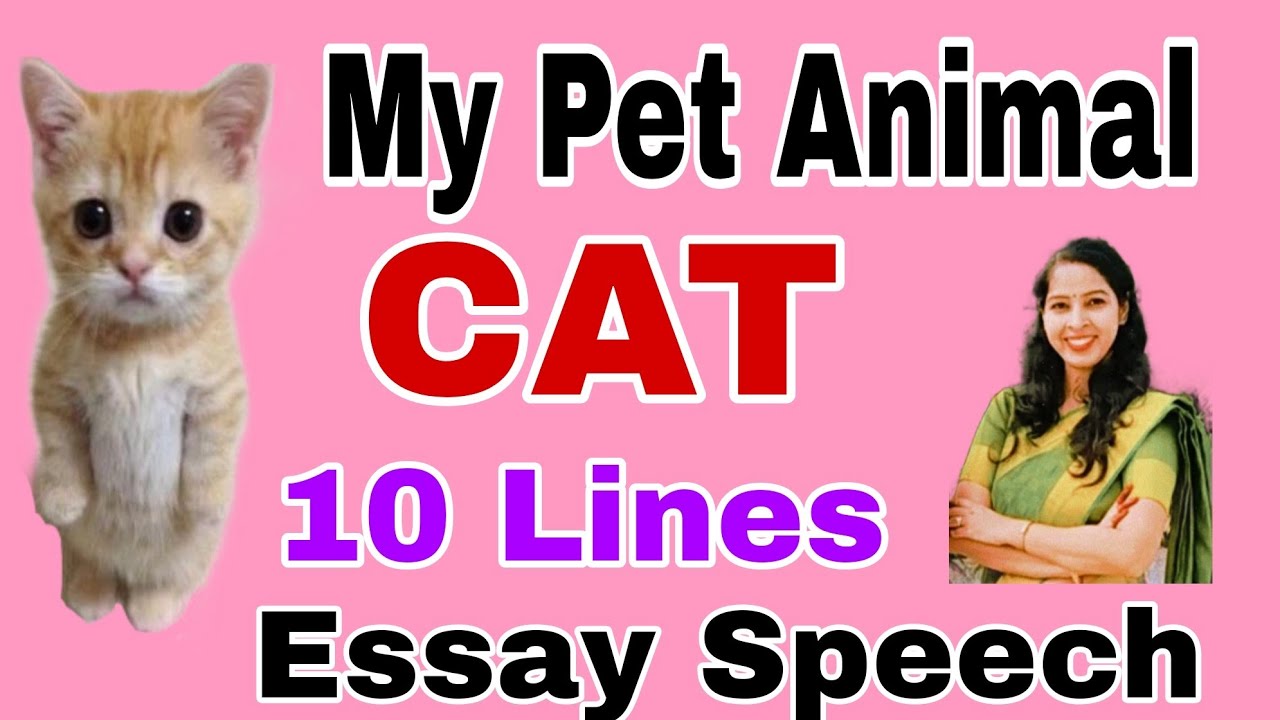 My Pet Animal Cat 10 Lines Essay | 10 Lines On My Pet Animal Cat