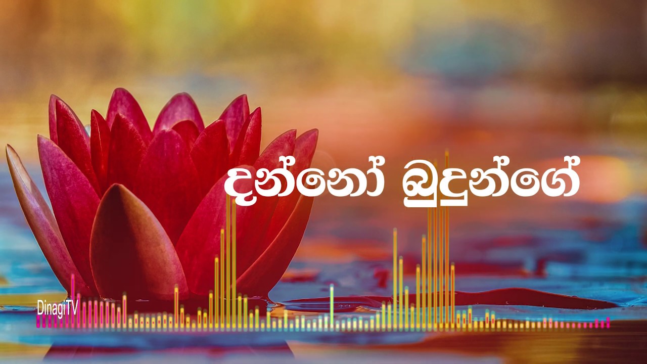 Danno Budunge Song | දන්නෝ බුදුන්ගේ