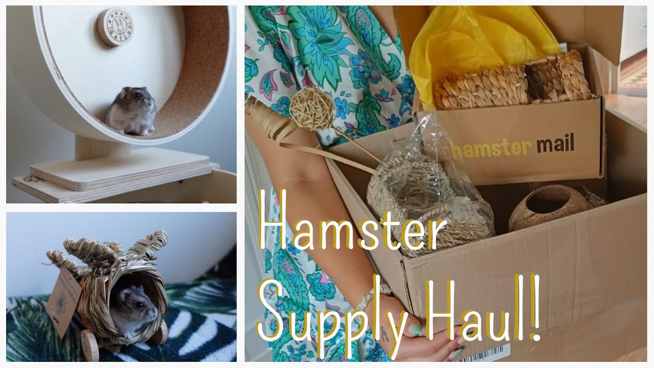 Big Hamster Supply Unboxing! 📦🐹 Getzoo, Happy Pet Nature's First, Rosewood & More!