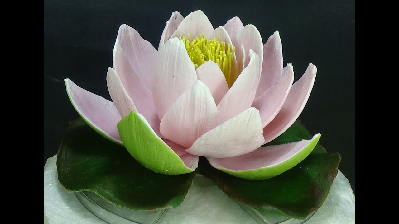 КУВШИНКА (ВОДЯНАЯ ЛИЛИЯ,  WATER LILY) ИЗ ПОЛИМЕРНОЙ ГЛИНЫ.  (ЧАСТЬ 1)