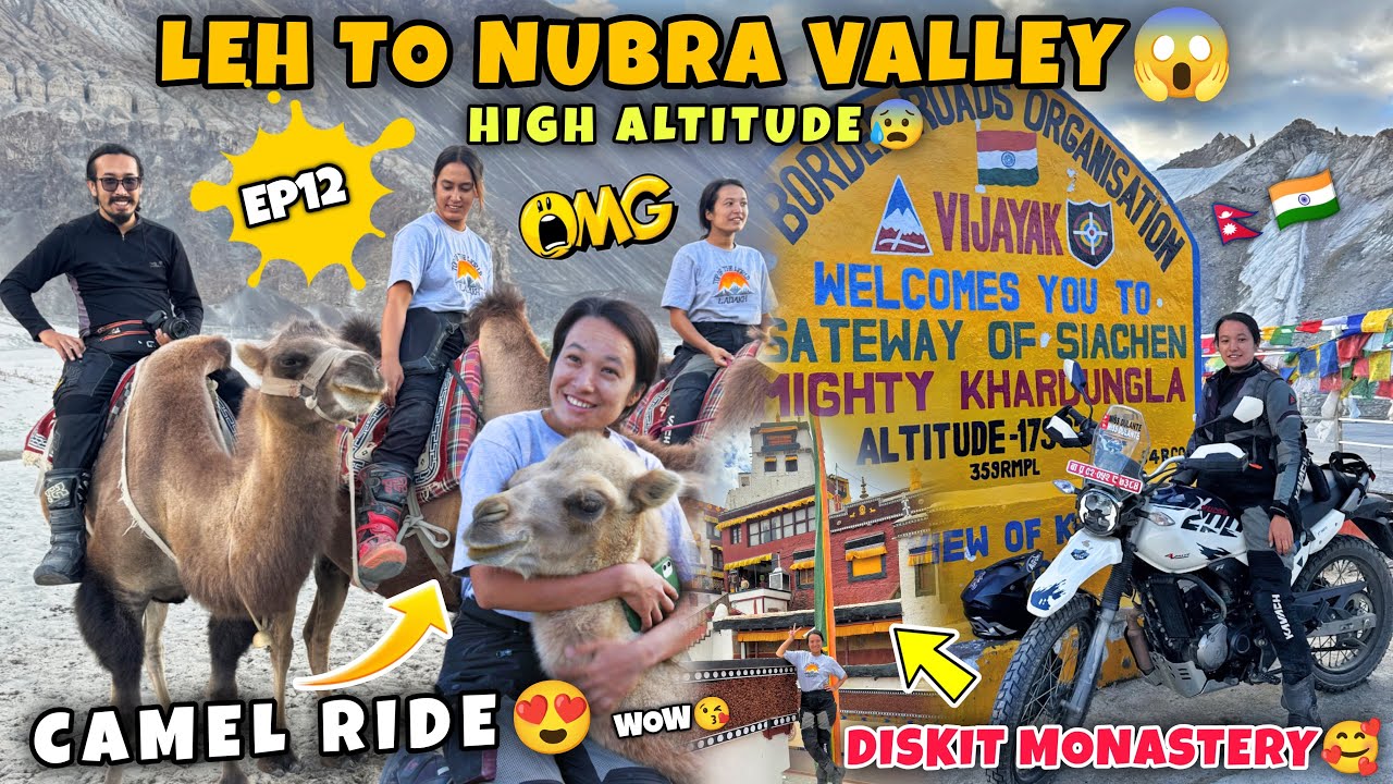 Leh to Nubra Valley via Khardung La 🥺| Camel Safari & Diskit Monastery 🥹❤️| India Ride Day 19 🇮🇳